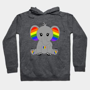 Cute elephant with rainbow colors Hoodie